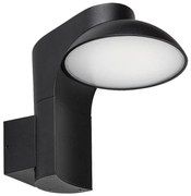 Rabalux 77148 - LED Kinkiet zewnętrzny WENGEN LED/12W/230V IP54