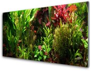 Panel Szklany Roślina Kwiaty Przyroda