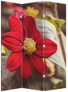 Parawan - Kwiat (126x170 cm)