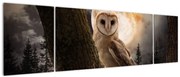 Obraz sowy palonej (170x50 cm)
