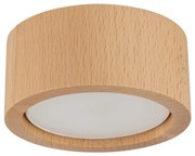 Oświetlenie punktowe EVE 1xGX53/11W/230V buk