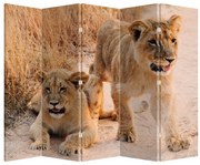 Parawan - Lwiątka (210x170 cm)