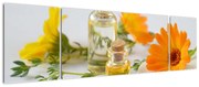 Obraz pomarańczowych kwiatów (170x50 cm)