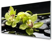 Obraz Akrylowy Kwiat Orchidea Roślina