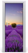 Naklejka na drzwi samoprzylepna Pole lawendy