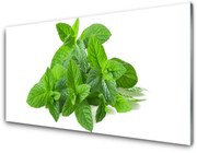 Panel Szklany Mięta Roślina Natura