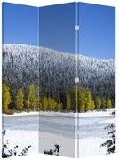 Parawan - Śnieżne góry zimą (126x170 cm)