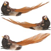 Zestaw ptaszków na klipsie, czarno-brązowy, 3 szt.