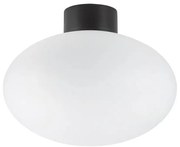 Ideal Lux - Lampa sufitowa zewnętrzna CLIO 1xE27/42W/230V IP44 czarna