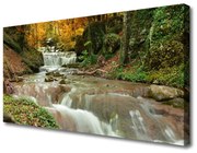 Obraz Canvas Wodospad Las Przyroda