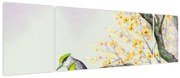 Obraz - Akwarelowy ptaszek na drzewie (170x50 cm)