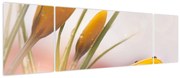 Obraz - Wiosenne kwiaty (170x50 cm)