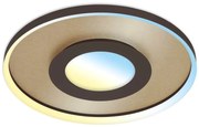Briloner 3640017 - LED 25W 230V ściemnialna lampa sufitowa 2700-6500K + DO
