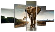 Obraz słonia (125x70 cm)