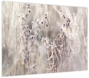 Obraz - Roślina (70x50 cm)