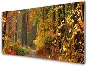Panel Szklany Las Natura Jesień
