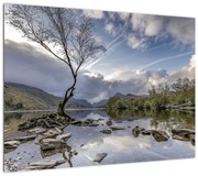 Obraz rzeki z drzewem (70x50 cm)