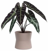 Ceramiczna doniczka ø 14 cm Diana – Artevasi