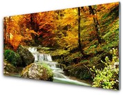 Obraz Akrylowy Wodospad Las Nature