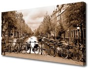 Obraz na Płótnie Rzeka Rower Drzewa Krajobraz