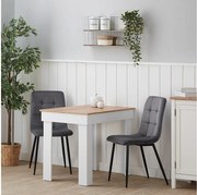 Zestaw krzeseł jadalnianych 43,5x88x50 cm Szare krzesła Eames