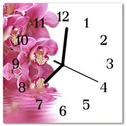 Zegar ścienny kwadrat Storczyk