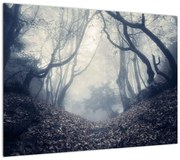 Obraz- Las we mgle (70x50 cm)