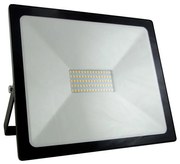 LED Naświetlacz LED/50W/230V IP65