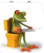 Deska sedesowa z łatwym domknięciem Wenko Frog News, 45x38,8 cm