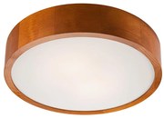 LED sufitowe 1xLED/24W/230V