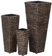 Komplet brązowych donic z hiacyntu wodnego T6-D93