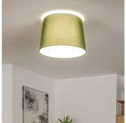 Brilagi - LED Przysufitowy żyrandol CERIA 1xE27/40W/230V śr. 30 cm zielony