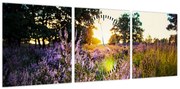 Obraz pola lawendy (z zegarem) (90x30 cm)