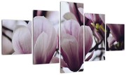 Obraz - Magnolia (125x70 cm)