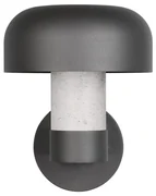 Zewnętrzna lampa ścienna (wysokość 24,5 cm) Fraser – Trio