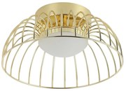 LED Lampa sufitowa BETSY LED/12W/230V śr. 25 cm złota