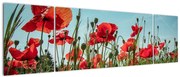 Obraz - Na polu maków (170x50 cm)