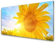 Panel Szklany Słonecznik Kwiat Słońce