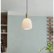 Eglo 900305 - Lampa wisząca MANZANARES 1xE27/40W/230V na linku
