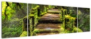 Obraz schodów w deszczowym pralesie (170x50 cm)