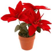 Sztuczna gwiazda betlejemska, 22 cm