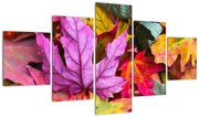 Obraz - jesienne liście (125x70 cm)
