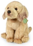 Rappa Pluszowy labrador siedzący, 27 cm ECO-FRIENDLY