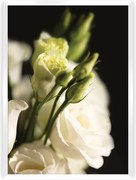 Plakat Dark Flowers I