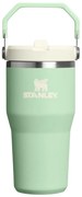 Szałwiowy termos ze stali nierdzewnej 600 ml IceFlow™ Flip Straw 2.0 Tumbler Pistachio – Stanley