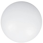 Szkło zamienne CLEO 50 cm