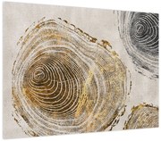 Obraz - Abstrakcja pnia (70x50 cm)