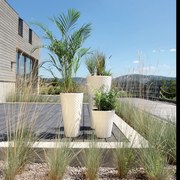 Doniczka ogrodowa 55cm Matuba Slim biała PROSPERPLAST