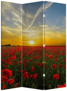 Parawan - Pole maków (126x170 cm)