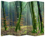 Parawan - Las (210x170 cm)